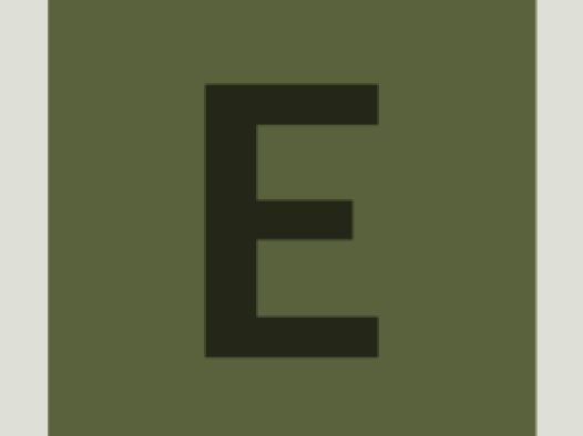 workcard-pinboard-#5a623d-alphanumeric/lato-dark/E.png-255,255,255,0.4.png (394×526 px, 2 KB)