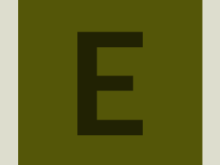 preview-pinboard-#545608-alphanumeric/lato-dark/E.png-255,255,255,0.4.png (165×220 px, 953 B)