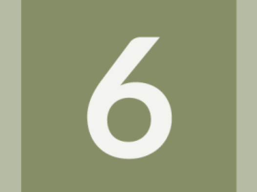 workcard-pinboard-#868e67-alphanumeric/lato-white/6.png-255,255,255,0.7.png (394×526 px, 15 KB)