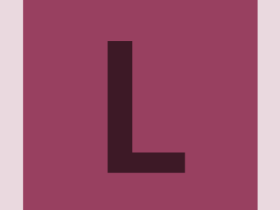 pinboard-workcard-#984060-alphanumeric/lato-dark/L.png-255,255,255,0.4.png (210×280 px, 965 B)