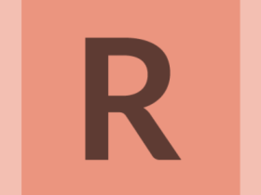 workcard-pinboard-#eb957f-alphanumeric/lato-dark/R.png-255,255,255,0.7.png (394×526 px, 11 KB)